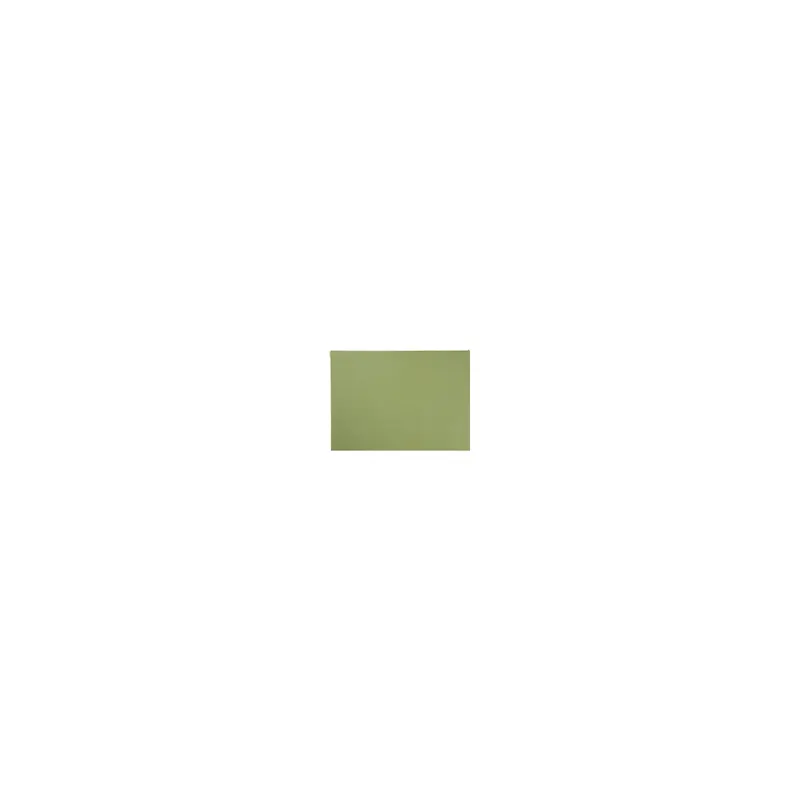 ASA Selection sisal rough placemats Tischset basil rough 46 × 33 cm