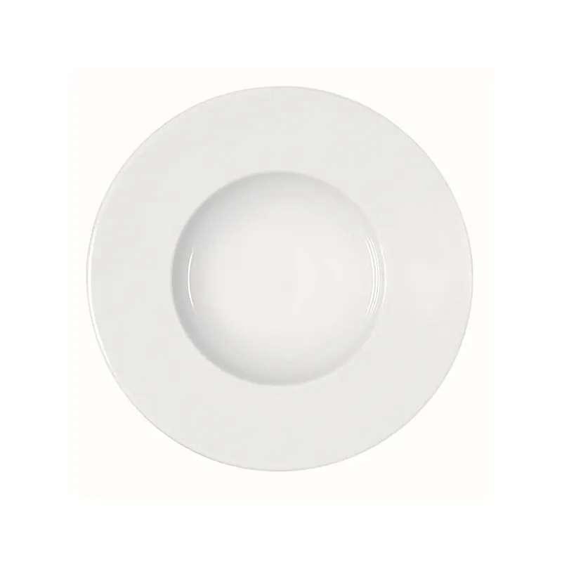 Bauscher Maitre Teller tief breite Fahne 20 cm