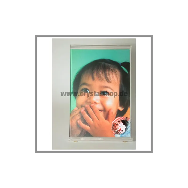 Swarovski Bilderrahmen Marienkaefer Picture Frame Ladybug 211739 AP 2000