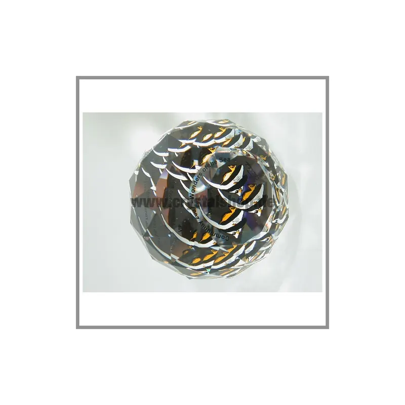 Swarovski Briefbeschwerer Community 4cm SCS paperweight AP 2007, ges. 9927