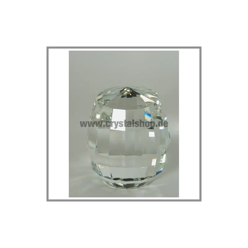 Swarovski Briefbeschwerer Revolution klar paperweight AP 1988