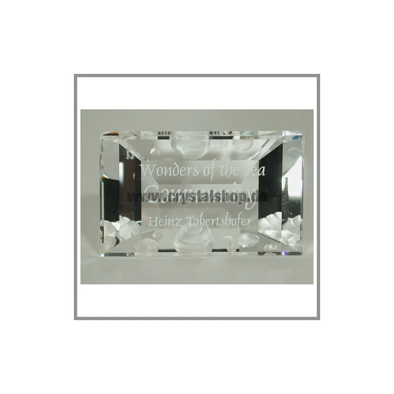 Swarovski Community Namensschild Plaque 898130 AP 2007