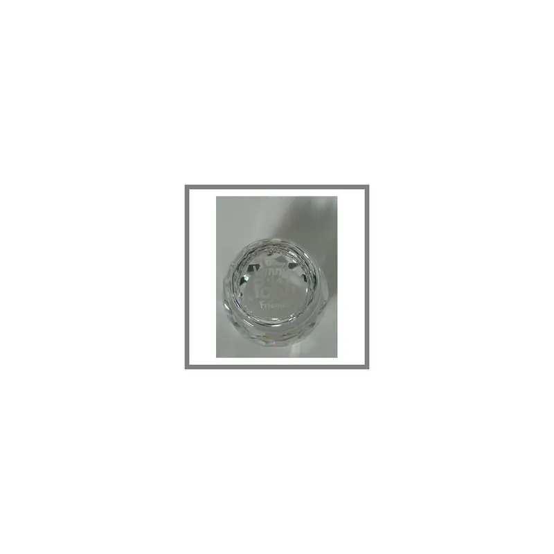 Swarovski Disney Winnie Pooh Namensschild 905772AP 2010