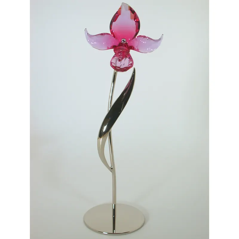 Swarovski Dorora Fuchsia Rain 681542 AP2012