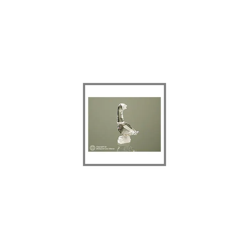 Swarovski Gaenslein Dick gosling dick 174963 AP 1999