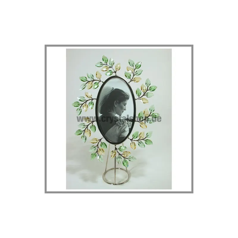Swarovski Leaves Bilderrahmen oval picture frame 660730 AP 2006