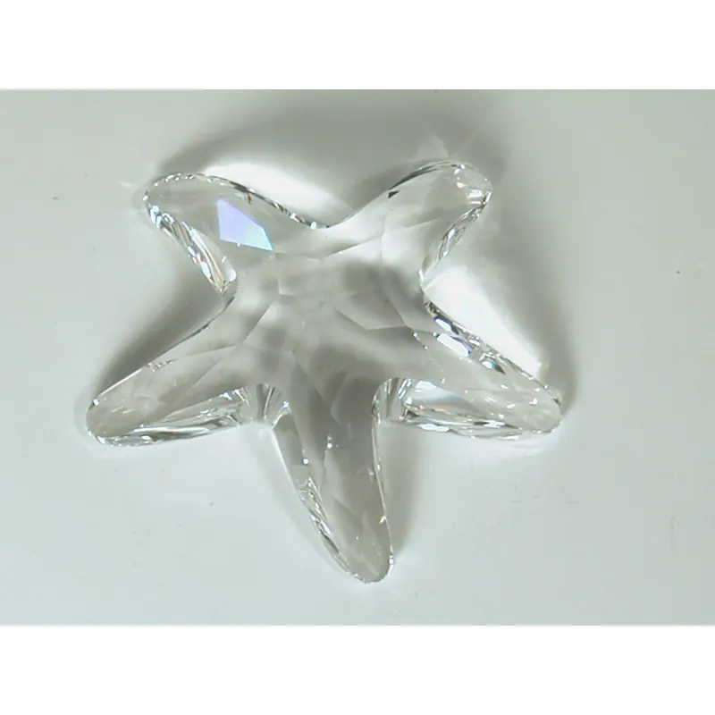 Swarovski SCS Seestern Starfish Member 679350 AP 2005