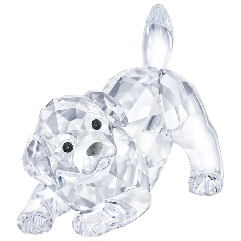 Swarovski SPIELENDER LABRADOR WELPE 5408608 AP 2021