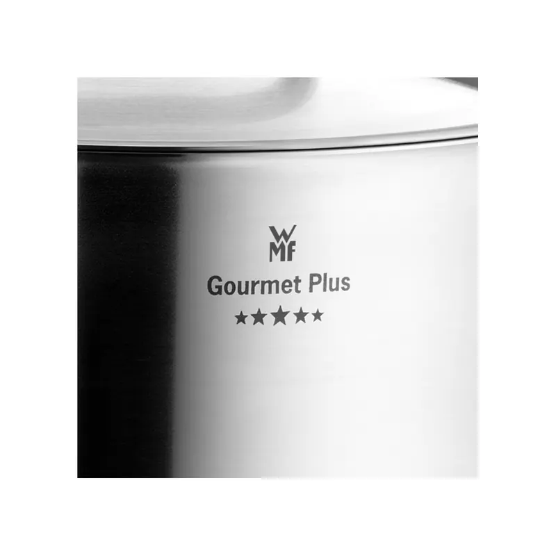 WMF Stielpfanne Ø 24 cm Gourmet Plus 8900536678 4000530581259